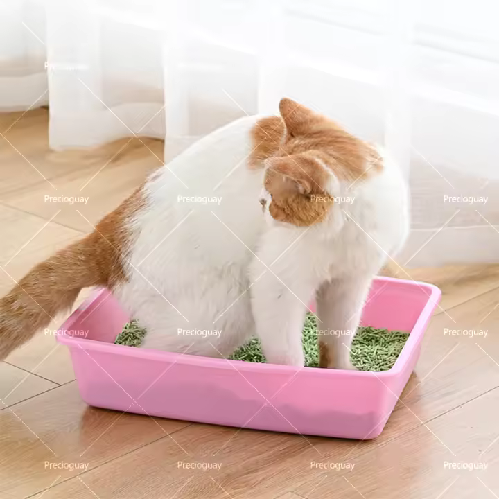 Caja de arena abierta para gatos, arena para mascotas, con bordes altos, 37 x 27 x H8,6 cm - 1