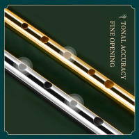 Flauta De Tin C Clásica Irlandesa Instrumento Musical Fácil De Aprender Perfecto Para Principiantes Key of C D Tin Whistle Penny Whistle - details 2