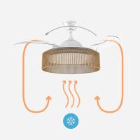 Mellerware - Ventilador de Techo Brizy Bright RATAN, Ultrasilencioso, 3 Aspas Retráctiles, Motor DC 40W, Función Verano-Invierno, Temporizador, LED - details 0