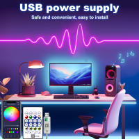 Luces De Neón RGB 5V Tira Flexible Impermeable De 1M 2M 3M 5M Con Control Remoto Bluetooth Para Decoración De Hogar - details 0