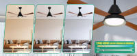 Aigostar ventilador de techo silencioso con luz 4 aspas de imitación de madera motor reversible uso en invierno y verano temporizador 6 velocidades ajuste de brillo y color ahorro de energía Negro - details 5