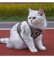 Harnés De Gatos Festivo Con Estampado De Gingham Transpirable De Poliéster Con Hebjes Metálicos Y Tirantes Reflectantes Para Caminatas Seguras - details 16