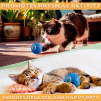 Bola Interactiva Para Perros Pequeños Y Medianos Recargable Por USB Juguetes Móviles Para Entretener Y Ejercitar a Tu Mascota - details 3