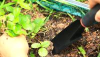 Juego De Herramientas De Jardín 5 Piezas: Shovel Rake Hoz Podaderos - Kit Esencial Para Jardinería - details 4