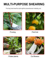 Tijeras De Poda Profesional Para Jardín Podadoras De Broca Afiladas Cortauñas Herramientas Para Arboles Tijeras De Mano - details 6