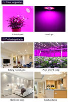 Lámpara De Crecimiento Para Jardín Interior 60LEDs 80LEDs Espectro Completo E27 E14 MR16 GU10 220V 110V 5W 6W 8W Para Plantas - details 3