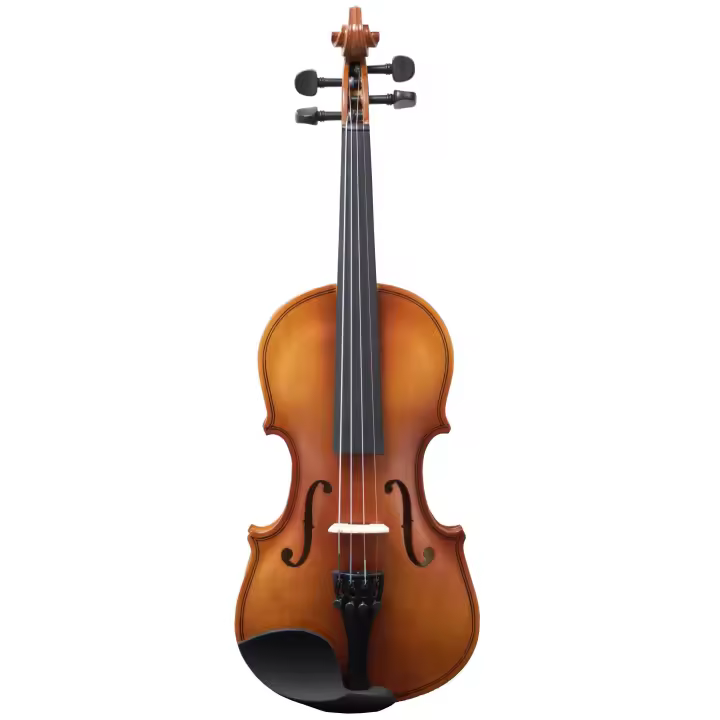 VIOLÍN AMADEUS VA-101 1/4 - 1