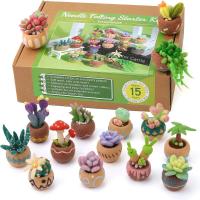 Set De Tejido Con Agujas KRABALL Para Principiantes Con Almohadilla De Lana Y Herramientas Para Manualidades DIY Kit De Cactus Y Suculentas - details 0