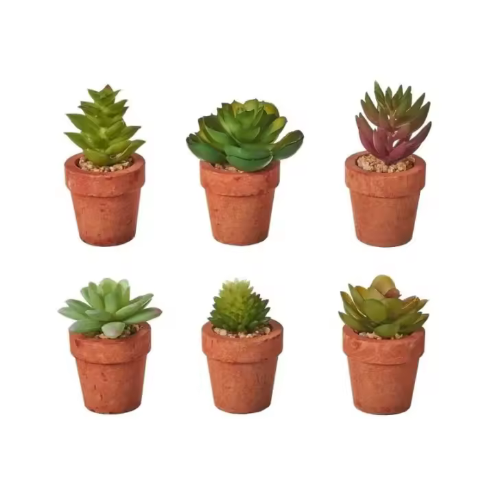 Dcasa Set de 6 plantas artificiales de cactus con maceta de pastade papel terracota - 1