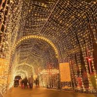 Luces LED De Navidad 220V EU Plug 10M 20M Para Exterior Decoración De Guirnalda De Farolillos Para Hogar Boda Fiesta Festivales - details 7