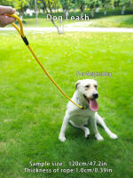 Correa Para Perro Amarilla Redonda 1CP Resistente Y Duradera Algodón Poliéster Adecuada Para Cachorros Y Perros Adultos - details 0