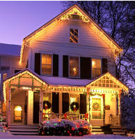 Luces De Ceniza LED 5M Cortina De Navidad Para Fiestas De Cumpleaños Y Bodas Decoración De Jardín Y Calle 110V 220V - details 8