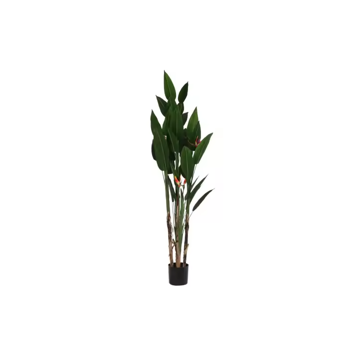 Planta Poliester Pp 90X90X200 Ave De Paraiso Verde El mejor complemento para tu hogar  -Fijalo- - 1