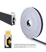 Tira De LED Neón Flexible 1m-5m 6MMx12MM En Tubo De Gel Negro Suave Impermeable DC24V Sin Fuente De Alimentación Para El Hogar - details 3