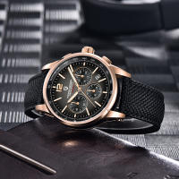Reloj De Pulsera De Cuarzo Para Hombre PAGANI DESIGN 2022 Lujo Casual Resistente Al Agua 100M Cristal De Zafiro Acero Inoxidable VK63 - details 14