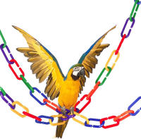 Bloques Educativos De Cadena Geométrica Para Niños Juguete De Entrainamiento De Acción Arco Iris C-Clip Fabricado En Plástico Adecuado Para Edades 6-12 Años - details 2