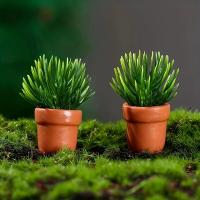 Modelo Miniatura De Plantas Simuladas Para Decoración De Casa De Muñecas Y Paisajismo Micro Bonsái Accesorios De Jardín - details 0