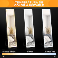 HOMCOM Espejo de Pared de Cuerpo Entero Espejo de Pie de Suelo con Luces LED Mando a Distancia 3 Colores de Luz Ajustable Brillo Ajustable y Marco de Aluminio 40x37x157,5 cm Plata y Negro - details 4