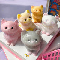 Juguete De Alivio Del Estrés Para Niñas Gato De Peluche Kawaii Cartoon Suave Al Toco Juguete De Reacción Lenta Creativo Regalo Para Niñas - details 1