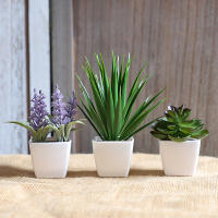 Set De Decoración Para El Hogar Con Plantas Simuladas En Maceta Para Escritorio De Oficina Ventana Foyer Jardín Courtyard - details 18