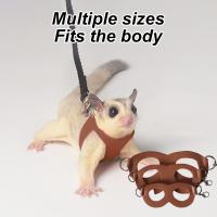 Juego De 4 Piezas Correa Y Arnes Ajustable Para Pequeños Animales Como Hamsters Sucres Y Ardillas Resistente Al Escape - details 5