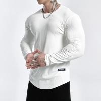 Camiseta Deportiva De Hombre 2024 Nueva Primavera Otoño Secado Rápido Camisa Manga Larga Para Gimnasio Y Correr Tops Ajustados - details 1