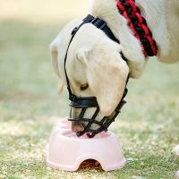 Mascarilla Para Perro Tamaño Medio Y Grande Antirruidos Y Anti Mordeduras Máscara Para La Boca De Los Perros Con Pelo Dorado Para Celadores - details 2