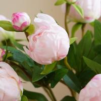 Arreglo De Flores De Seda Estilo Europeo Con Dos Cabezas De Peonía Simuladas Decoración Suave Para Bodas Y Hogar Arte Floral - details 4
