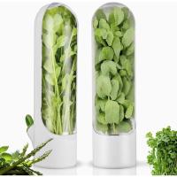 Caja De Almacenamiento Para Hierbas Frescas Como Coriandros Peras Espárragos Menta Mantener Verduras Frescas Durante 2-3 Semanas Plástico Resistente - details 11