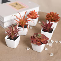 Set De 6 Suculentas Artificiales Miniatura En Vaso Blanco Para Decoración De Escritorio Librería Restaurante Y Ventanas Casas - details 28