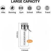 Botella De Agua De Vidrio Borosilicato De 32 Oz Con Infusor De Té De Acero Inoxidable Transparente Para Uso Doméstico - details 4