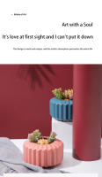 Maceta Creativa Para Suculentas Y Plantas Verdes En Plástico Grueso Decoración Para Mesa De Sala Jardín Hogar Estilo Europeo Pequeña - details 5