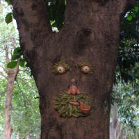 Estatua De Árbol Riómano Para Jardín Patio Exterior Escultura De Rostro Divertido Y Encantadora En Resina Estilo Antiguo - details 1