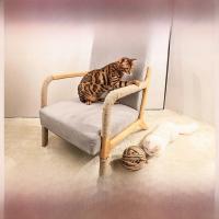 Cuerda De Sisal Natural Para Gatos 20/50M 4/6/8MM Herramienta Para Artesanía DIY Protector De Muebles Antirrascas Poste De Rasguño Arbolito De Gatos - details 5