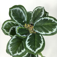 Planta Artificial De Valla Peacock Y Tortuga Hoja Begonia Verde Hierba En Maceta Para Decoración De Balcón Y Jardín Interior - details 17
