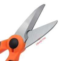Tijeras De Pesca Portátiles De Acero Inoxidable 420 Herramientas Para Cortar Línea PE Y Seda Adecuadas Para Electricianos Y Pesca Del Carpa - details 2