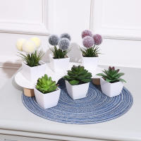 Set De Decoración Para El Hogar Con Plantas Artificiales De Evergreen Miniatura En Macetas Pequeñas Plantas Bonsái Para Exhibición Y Uso En La Oficina - details 11