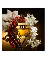 DOLCE & GABBANA The One Intense Eau de Parfum Intense para Mujer 75 ml - details 2