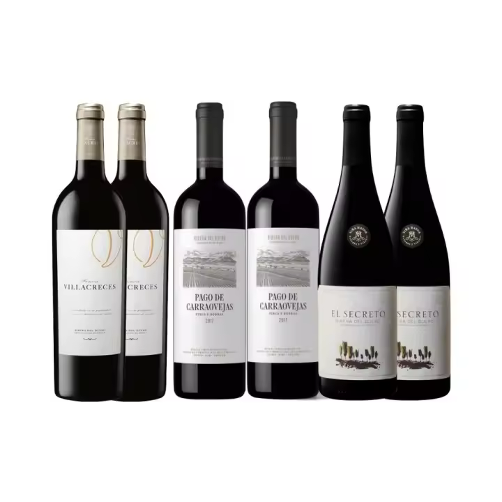 Pack Milla De Oro Ribera Del Duero - 1