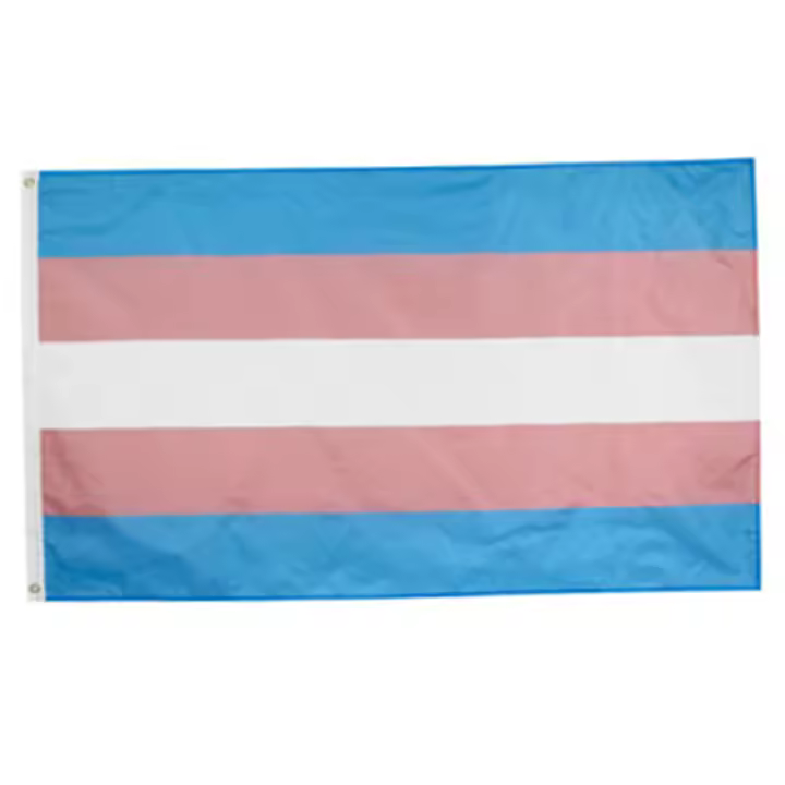 Bandera De Orgullo LGBT Transgénero 90x150cm Decorativa De Dual Penetration Hecha De Poliéster Estilo Colgante Para Adornos - 1