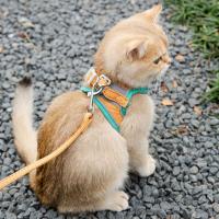 Juego De Correa Y Arnes Para Gato Estampado Anti-R Rompedor Con Collar Chaleco Antirrompible Para Entrenamiento Y Caminar Para Perros Y Gatos Material De Tela De Gamuza - details 10