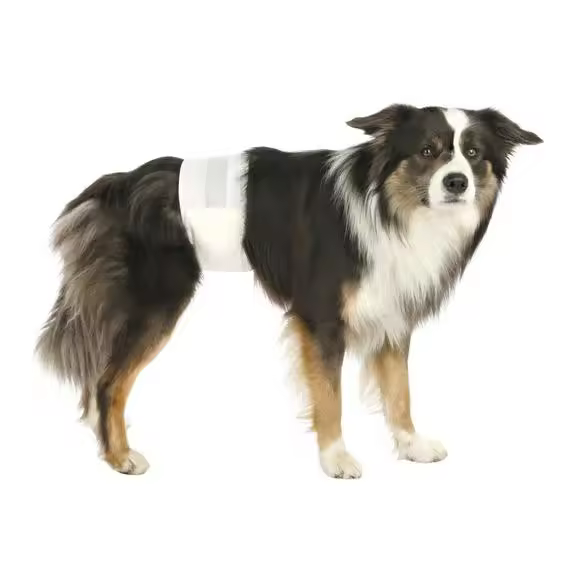 Trixie Banda Absorbente Perro Macho-Pañales para Perros-Marcadores o PCs Incontinents-12-Mis. L-XL 60-80 cm - 1