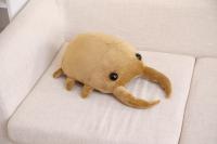 Muñeco De Peluche Creativo De Insecto Simulación 50cm/60cm Peluche De Cartoon Kawaii Colección De Regalos Para Niños Y Niñas - details 13