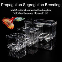 Caja De Cría De Peces Pez Gallo Acrílico Para Acuario Caja De Aislamiento Incubadora De Liceos Suministros De Acuario - details 0