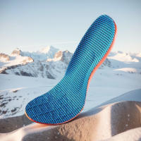 1 Par De Plantillas Norelie Absorción De Choque Para Plantar Fasciitis Ortótica Anti Olor Para Zapatos De Trabajo Y Deporte Para Corredores Y Atletas - details 6