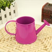 Mini Jarrón De Riego Para Niños Juguete De Jardinería Metal Tinado Para Agua De Jardín Y Flores Juguetes Interiores - details 4
