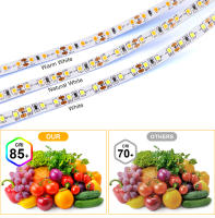 Tira De LED 8MM Superior Calidad 2835 Con Controlador WiFi Tuya Y Suministro De Energía EU/US Luces LED Para El Hogar - details 5