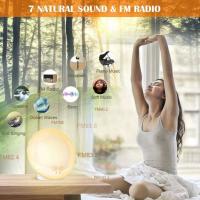 Radio Despertador con Luz, lámpara de Noche, 20 de Brillo, Amanecer/Attarde, 2 alarmas - details 2