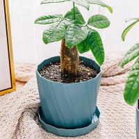 Maceta Creativa De Resina Para Plantas Verdes Y Gruesas Estilo Nórdico Sencilla Y Moderna Material De Plástico Polyresin - details 4