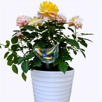 Dispositivo De Rociado Automático Para Plantas 1 Pieza Artificio Creativo Para Riego De Vidrio De Pájaros Dispositivo De Drip De Agua - details 4